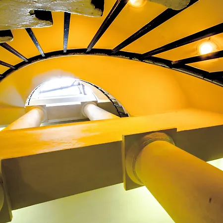 Adler - Czech Leading