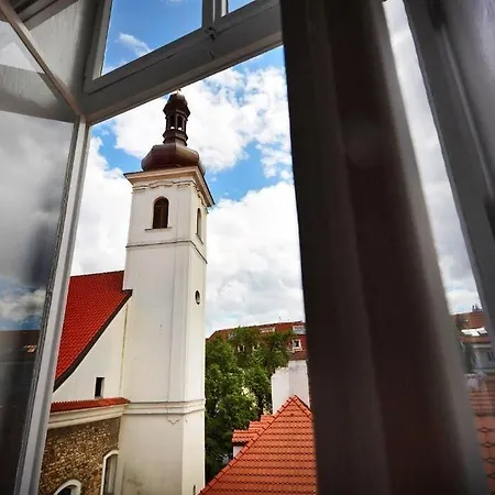 Adler - Czech Leading