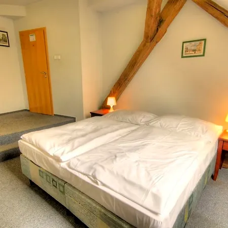 Adler - Czech Leading פראג