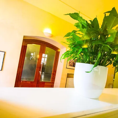 Hotell Adler - Czech Leading 4*