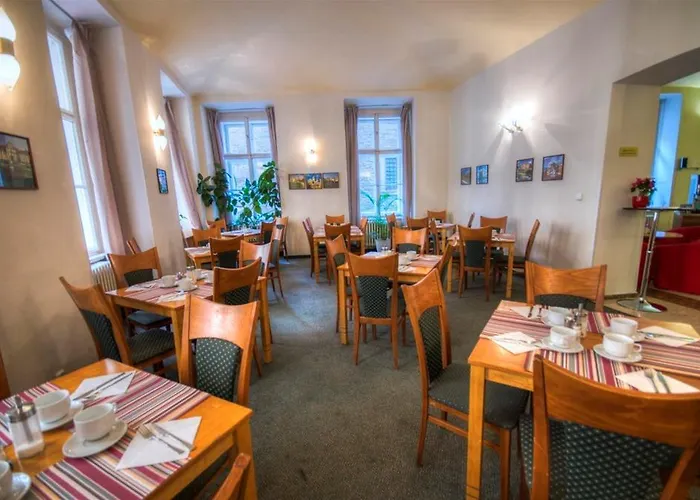 Adler - Czech Leading