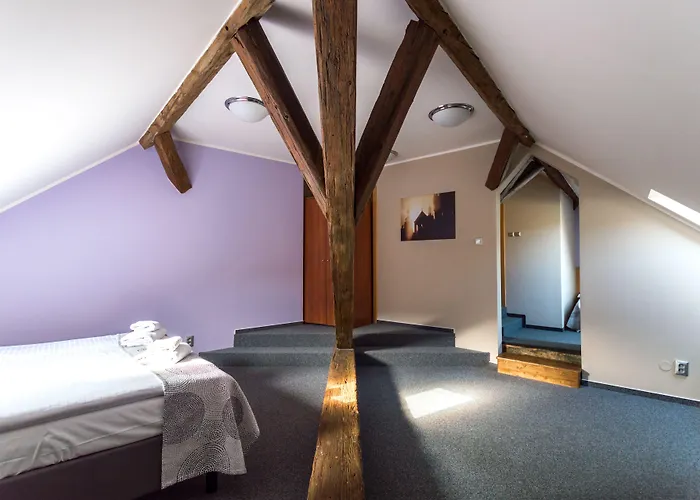 Hotell Adler - Czech Leading 4*