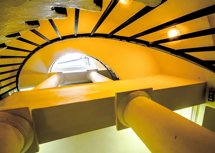 Adler - Czech Leading