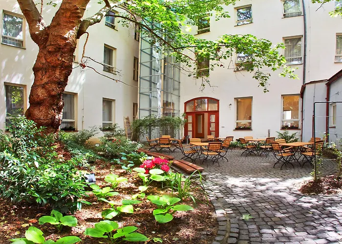 Adler - Czech Leading